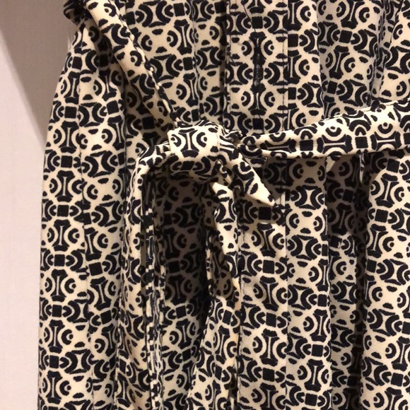 Professional dress - Picture 4 of 4